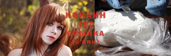МДПВ Новодвинск
