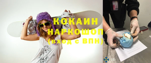 скорость Новозыбков