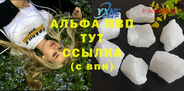 скорость Новозыбков