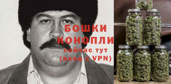 МДПВ Новодвинск