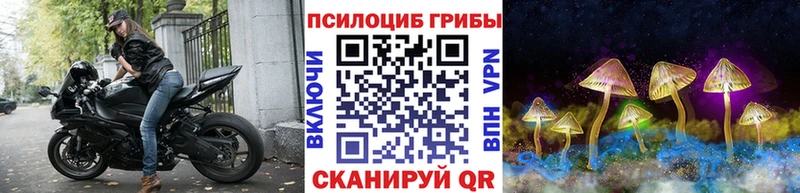 Галлюциногенные грибы GOLDEN TEACHER  Куртамыш 