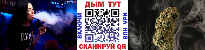 где можно купить   Куртамыш  Бошки Шишки индика 