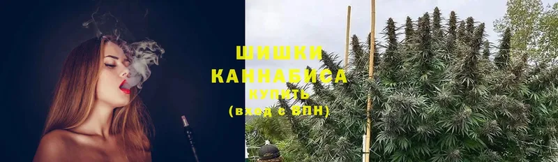 где купить   Куртамыш  Канабис Ganja 